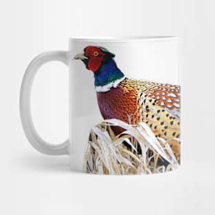 Ring-necked Pheasant Photo Mug